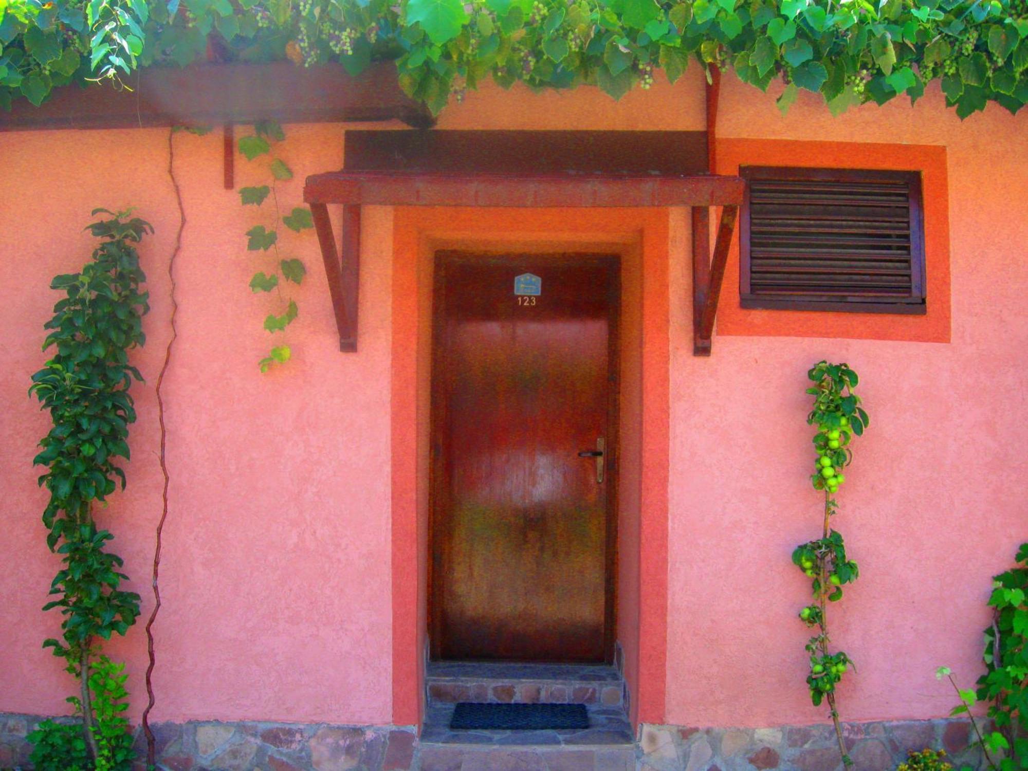 Amfora Rooms Caribrod Dimitrovgrad Chambre photo